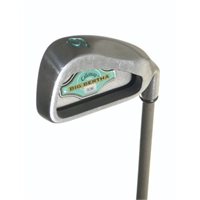 Used Callaway Big Bertha 1994 Iron Set 4PW, SW Womens Used Golf Club at GlobalGolf.ca