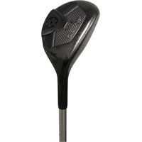 Ping Anser Hybrid Representative Image.