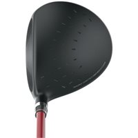 wilson d300