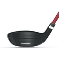 wilson d300