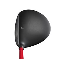 wilson d300