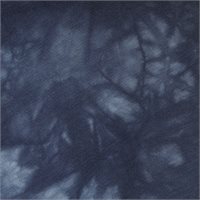 View Asher Core Dyed Shirt Navy