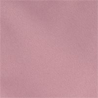 View Nike Tour Chino 8 Inch Shorts Plum/Dust