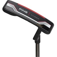Ping 2021 Anser