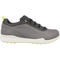 View ECCO Golf Biom Hybrid BNY Spikeless Steel/Magnet