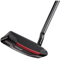 Ping 2021 Anser 4