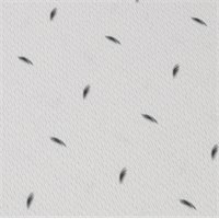 View Galvin Green Miklos Ventil-8 PLUS Shirt Cool Grey