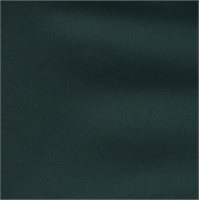 View Puma PURE 2.0 Shirt Dark Myrtle