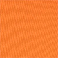 View Puma Youth PURE 2.0 Shirt Rickie Orange