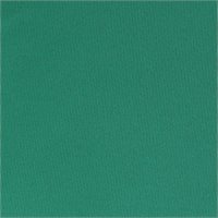 View Nike Dri-FIT Velocity Shirt Malachite/White