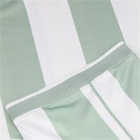 View Nike Dri-FIT Fairway Fresh Shirt Steam