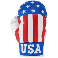 ProActive Sports Boxing Glove